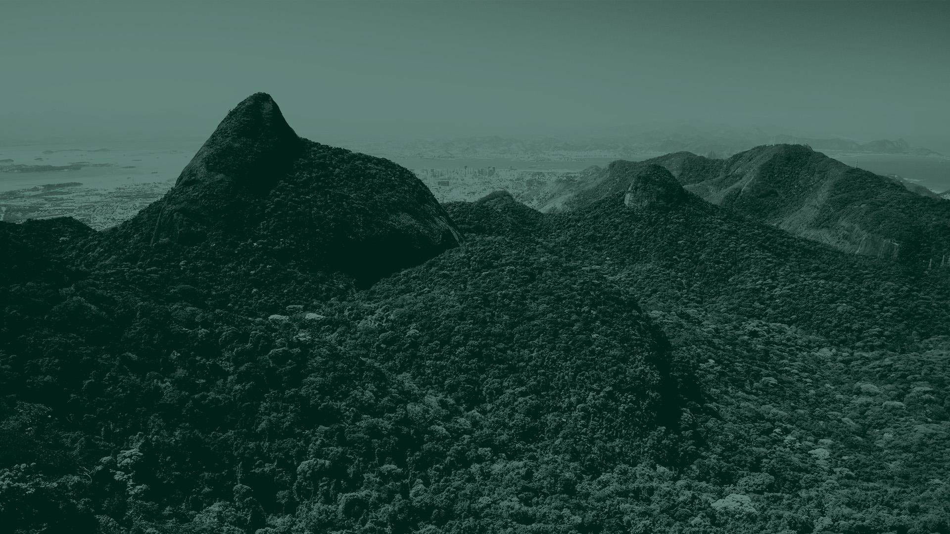 Green tone landscape image of trees on a mountain