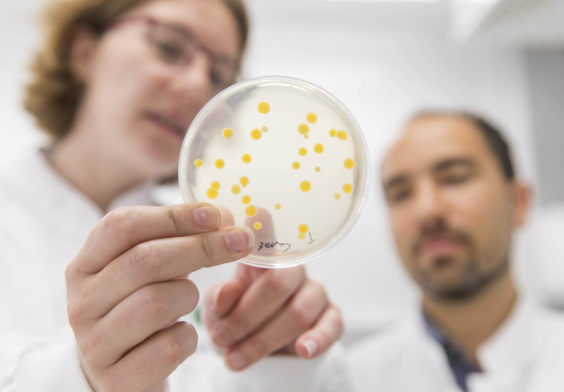 innovative ingredients in a petri dish