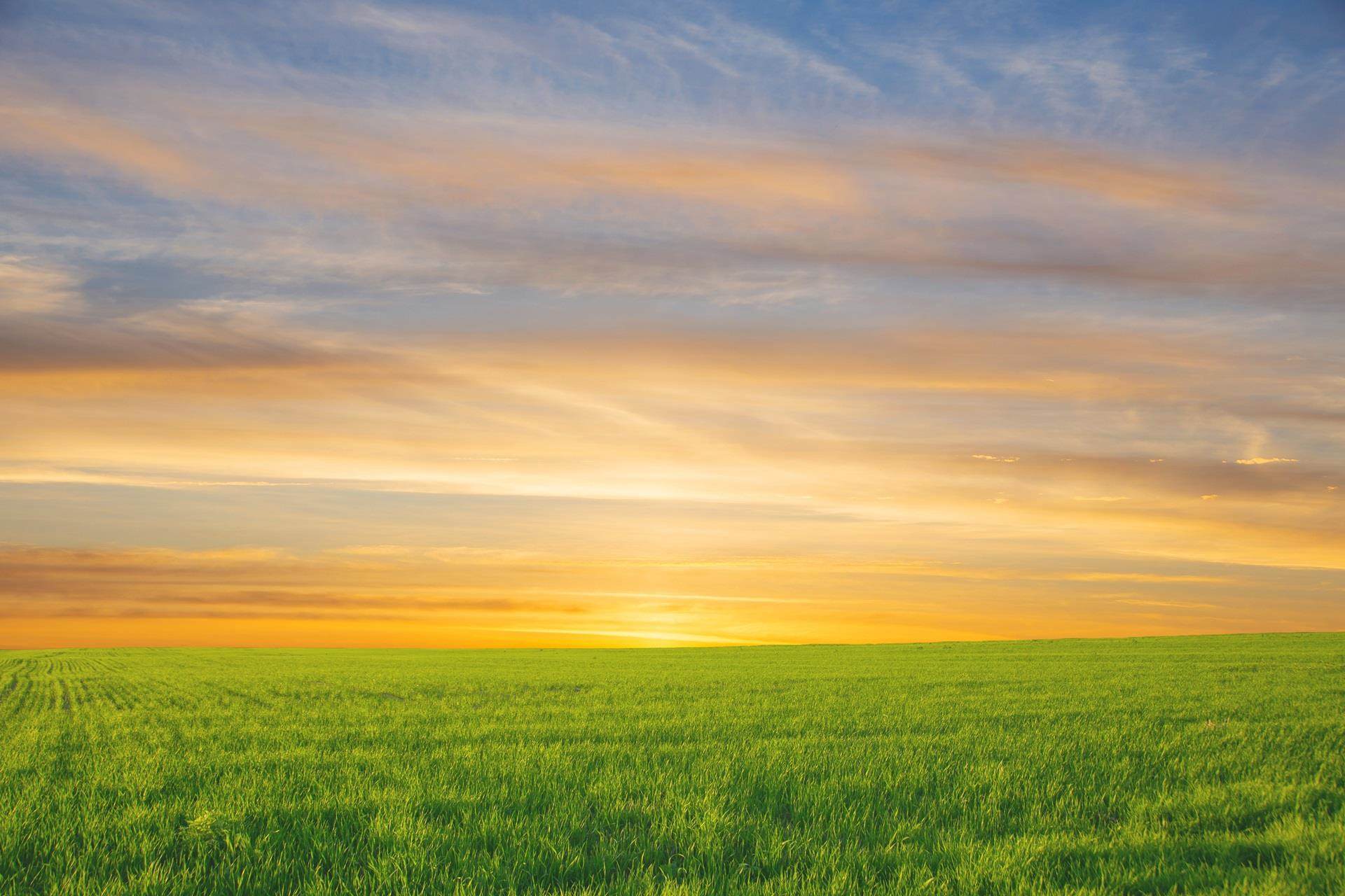 land positive