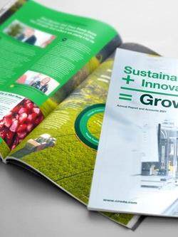annual report cover