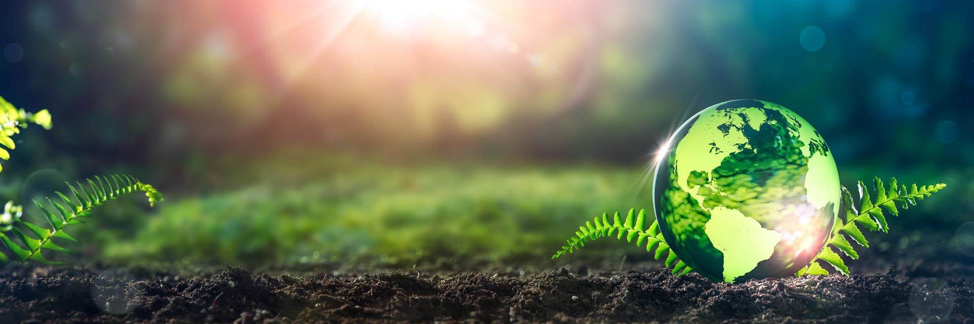 気候にプラスの貢献をする(Climate Positive)
