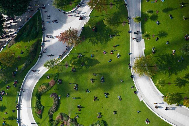 Aerial shot of a park