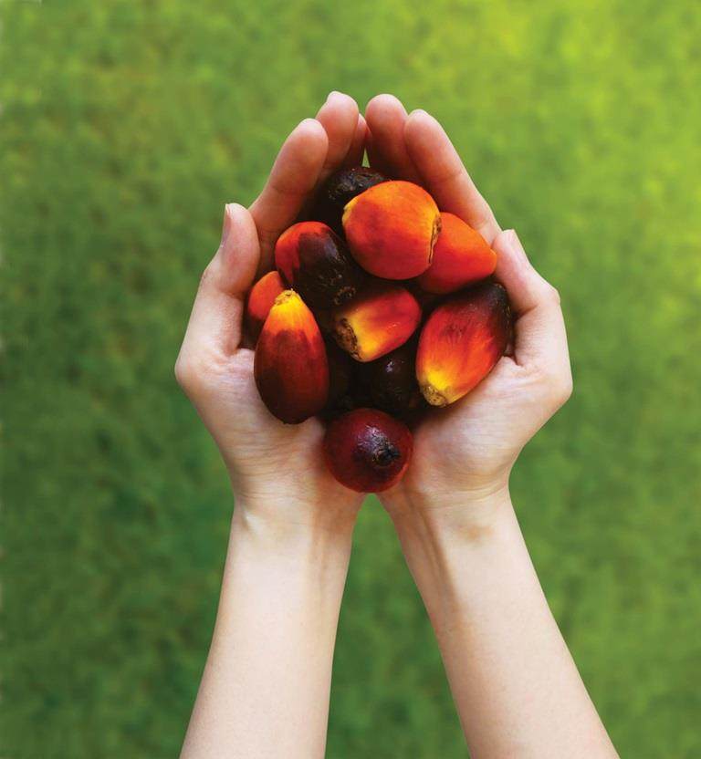 Sustainable palm oil
